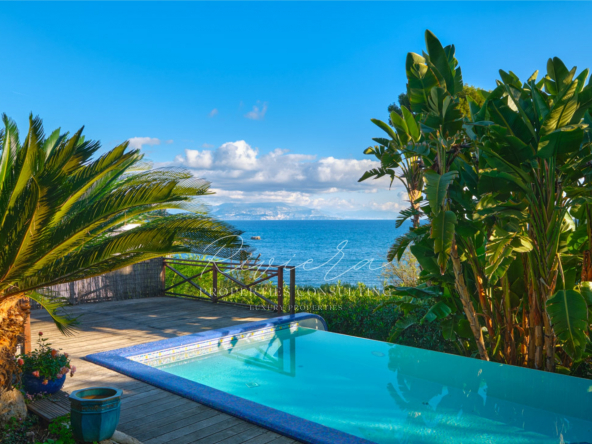 Charming property - Cap d'Antibes - pool